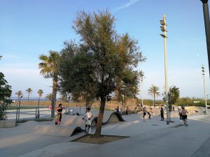9.-Skate-Park-Mar-Bella_3