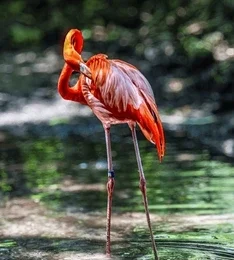 zoo barcelona