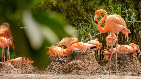 zoo barcelona