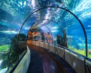 Aquarium barcelona