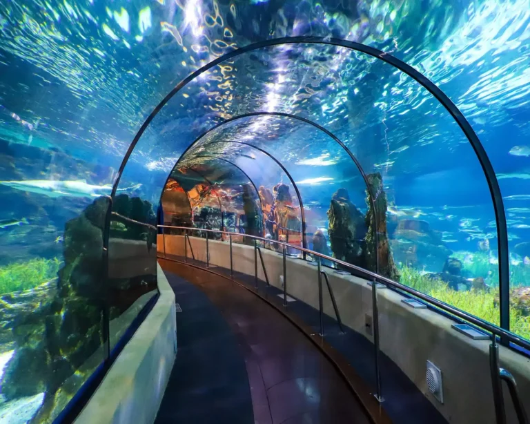 Aquarium barcelona