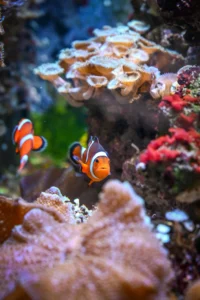 aquarium barcelona
